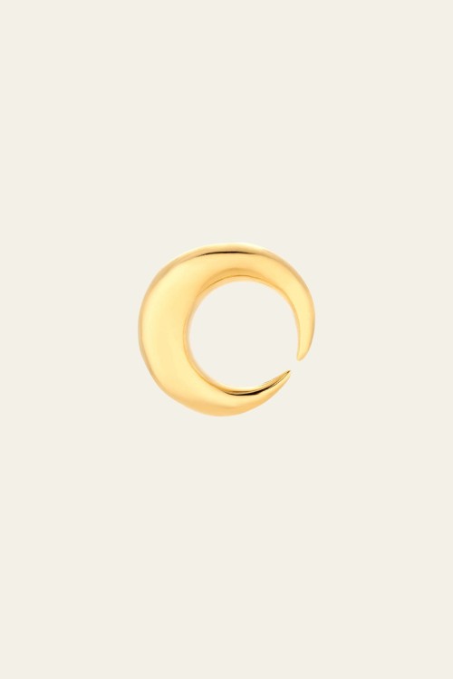 Kolczyk Crescent Moon.jpg